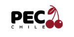 PEC Chile Consultora frutícola industria del Cerezo
