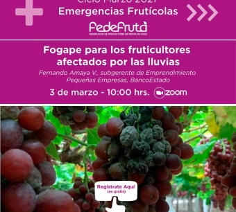 Invitación para la charla online "Emergencias Frutícolas: Fogape para los fruticultores afectados por las lluvias"