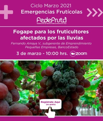 Invitación para la charla online "Emergencias Frutícolas: Fogape para los fruticultores afectados por las lluvias"